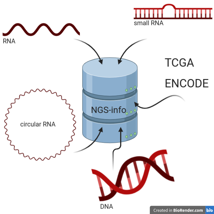 Drawing of data used in the NGS, source: biorender